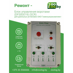 Ремонт - Блок управления воротами (DFS00019)