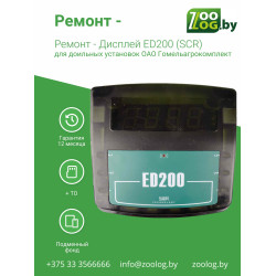 Ремонт - Дисплей ED200